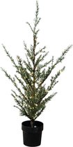 Sirius Milas Cedar 130cm Kerstboom met 150 led lampjes