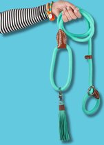DWAM Dog with a Mission Hondenriem – Riem voor honden – Turquoise – Polyester/Leer – One Size – 200 x 1,4 cm – Long John Jade Sliplead