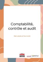 Nouvelle encyclopédie de la stratégie - Comptabilité, contrôle et audit