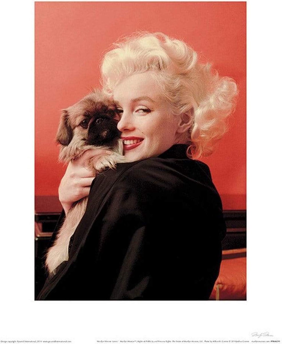 Pyramid Marilyn Monroe - Love Kunstdruk 30x40cm Divers