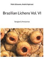 Brazilian Lichens Vol. VI