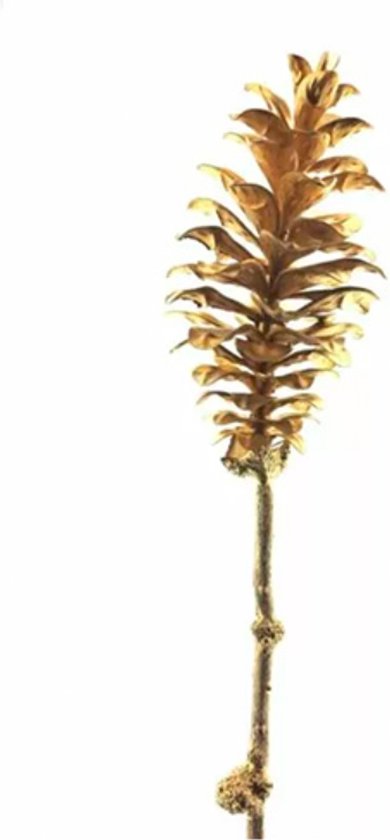Kunsttak “Pine cone goud