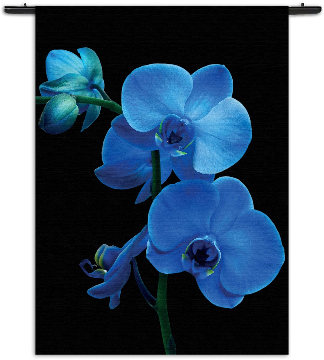 Velours Wandkleed Orchidee Rechthoek Verticaal S 85 X 60 CM Velours Wandkleed Orchidee Rechthoek Verticaal S 85 X 60 CM