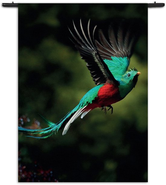 Velours Wandkleed Schitterende Vliegende Quetzal Vogel Rechthoek Verticaal XXXL (260 X 210 CM) - Wandkleden - Met roedes