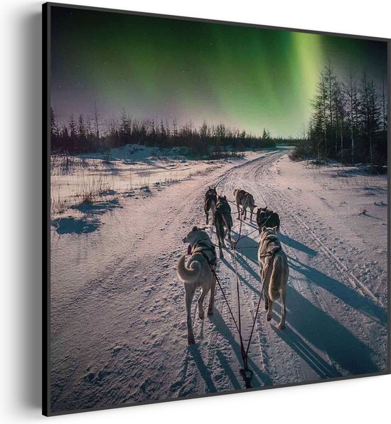 Akoestisch Schilderij Huskies door Lapland Vierkant Basic L (80 X 80 CM) - Akoestisch paneel - Akoestische Panelen - Akoestische wanddecoratie - Akoestisch wandpaneel