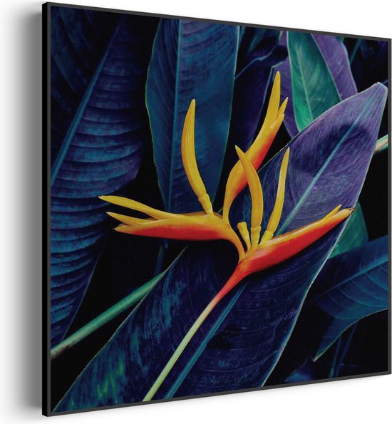 Akoestisch Schilderij Heliconia bloem op donkere achtergrond Vierkant Pro S (50 X 50 CM) - Akoestisch paneel - Akoestische Panelen - Akoestische wanddecoratie - Akoestisch wandpaneel