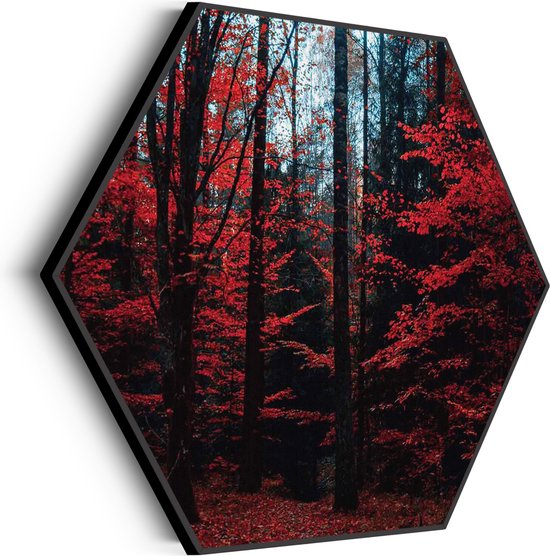 Akoestisch Schilderij Het rode bos Hexagon Basic XL (140 X 121 CM) - Akoestisch paneel - Akoestische Panelen - Akoestische wanddecoratie - Akoestisch wandpaneel
