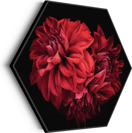 Akoestisch Schilderij Rood Paarse Dahlia Hexagon Basic M (60 X 52 CM) - Akoestisch paneel - Akoestische Panelen - Akoestische wanddecoratie - Akoestisch wandpaneel
