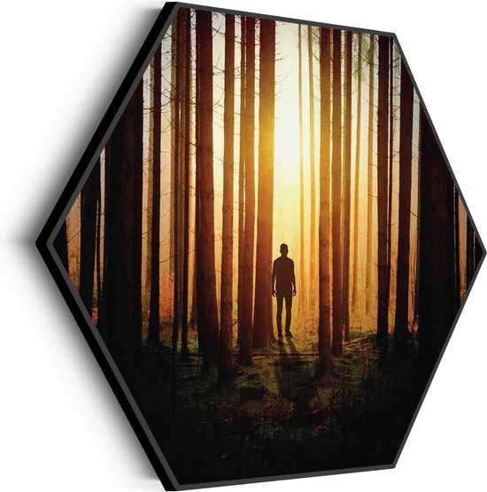 Akoestisch Schilderij De bomen door het bos Hexagon Basic M (60 X 52 CM) - Akoestisch paneel - Akoestische Panelen - Akoestische wanddecoratie - Akoestisch wandpaneel