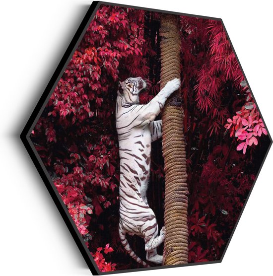 Akoestisch Schilderij De Witte Tijger Hexagon Basic L (100 X 86 CM) - Akoestisch paneel - Akoestische Panelen - Akoestische wanddecoratie - Akoestisch wandpaneel