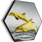 Tableau Acoustique Jumping Dolphins Goud 01 Hexagon Basic M (60 X 52 CM) - Panneau acoustique - Panneaux acoustiques - Décoration murale acoustique - Panneau mural acoustique