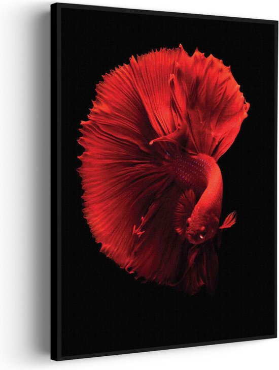 Akoestisch Schilderij Red Dragon Siamese Fighting Fish Rechthoek Verticaal Basic L (72 X 100 CM) - Akoestisch paneel - Akoestische Panelen - Akoestische wanddecoratie - Akoestisch wandpaneel