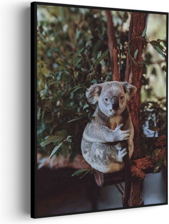 Akoestisch Schilderij De Vastgelamde Koala Rechthoek Verticaal Pro L (72 X 100 CM) - Akoestisch paneel - Akoestische Panelen - Akoestische wanddecoratie - Akoestisch wandpaneel