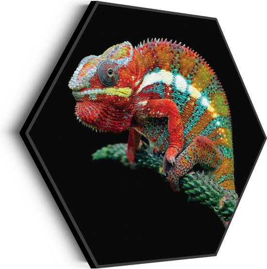 Akoestisch Schilderij De Kameleon Zittend Op Plant Hexagon Basic L (100 X 86 CM) - Akoestisch paneel - Akoestische Panelen - Akoestische wanddecoratie - Akoestisch wandpaneel