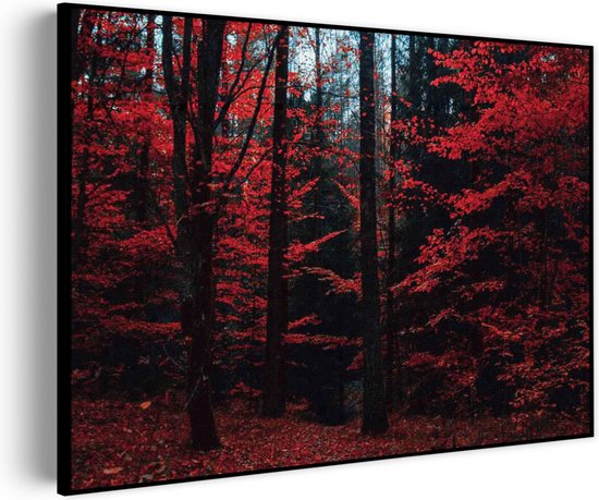 Akoestisch Schilderij Het rode bos Rechthoek Horizontaal Basic M (85 X 60 CM) - Akoestisch paneel - Akoestische Panelen - Akoestische wanddecoratie - Akoestisch wandpaneel