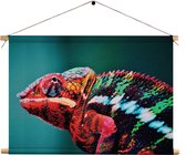 Textielposter Kameleon Kleurrijk Rechthoek Horizontaal L (43 X 60 CM) - Wandkleed - Wanddoek - Wanddecoratie