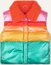 Color bodywarmer 31 Solid multicolor rainbow Pink: 152/12yr