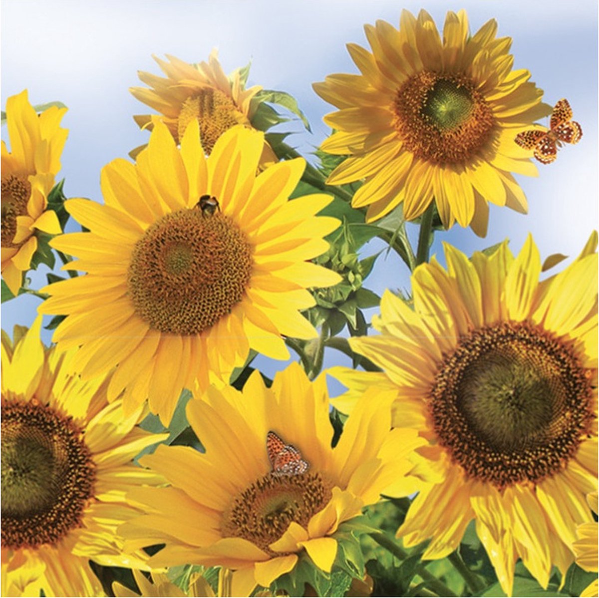 Daisy lunch/diner servetten - 60x st - 33 x 33 cm - zonnebloemen - feestservetten