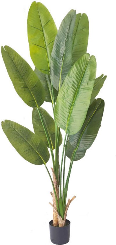 Kunst Bananenplant 180cm | Bananen Kunstplant | Neppe Bananenplant | Valse Bananenplant 180cm | Kunstplanten voor Binnen | Grote Kunstplant