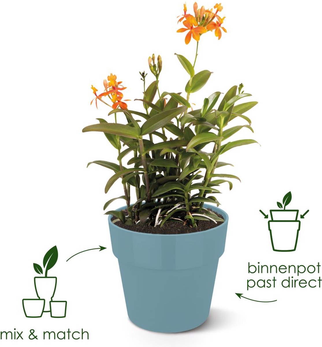 Elho B.for Original Rond 25 - Bloempot voor Binnen - 100% Gerecycled Plastic - Ø 24.7 x H 23.2 cm - Wit