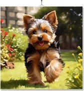 Tegel Met Opdruk | Geschenk | Puppy In De Tuin | Yorkshire Terrier
