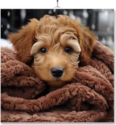 Tegel Met Opdruk | Geschenk | Hond In Mand Onder Fleecedeken | Labradoodle