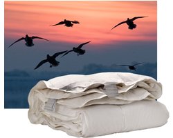 Isleep Donzen 4-Seizoenen Dekbed - 60% Dons - Tweepersoons - 200x200 cm