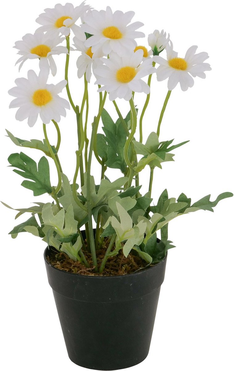 Boltze Home Potplant Kamille 15x15x28cm