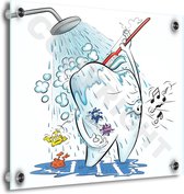 Tandarts Cartoon op plexiglas - Uniek ontwerp - Roland Hols - Wassende kies - 80 x 80 cm - 5 mm dik - inclusief 4 afstandhouders chroom (zilverkleurig) - Decoratie - Orthodontist - Mondhygiënist