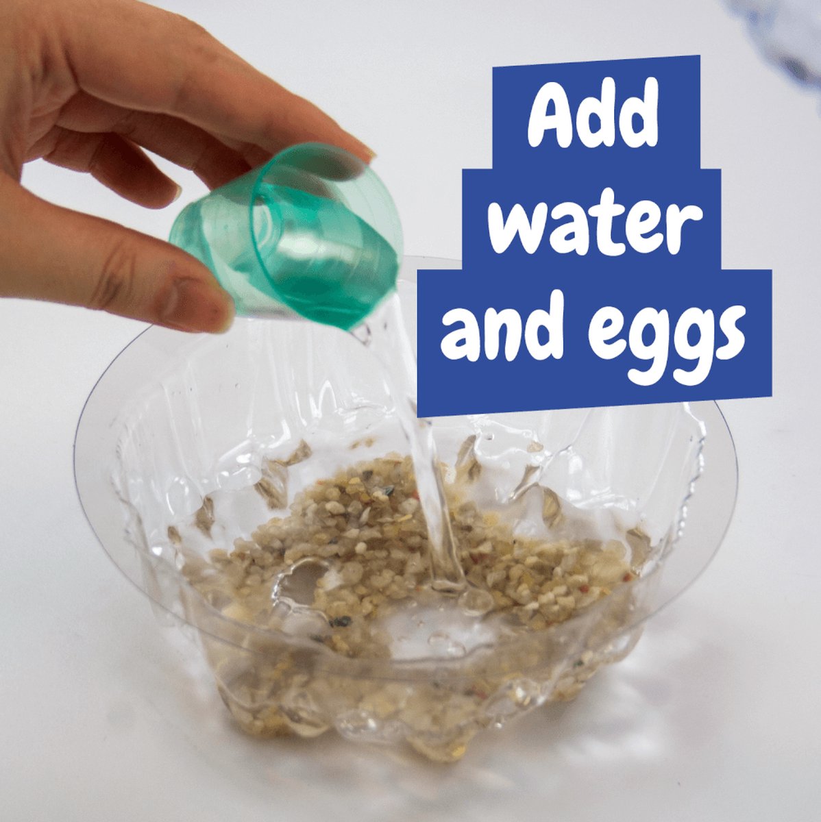 Science4you Artemias Aquatic Creatures - Kweek je eigen Triops - Experimenteerset - Educatief Speelgoed 6+ Jaar — cadeau in Spellen & Speelgoed - foto 3