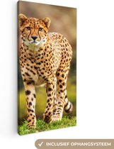 Canvas - Cheetah - Gras - Dieren - Interieur - 20x40 cm - Canvas doek - Schilderijen op canvas
