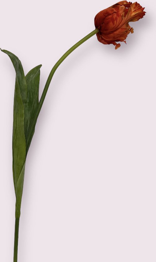 Zijden kunstbloem Parkiet Tulp | Rood | Lengte 80 centimeter