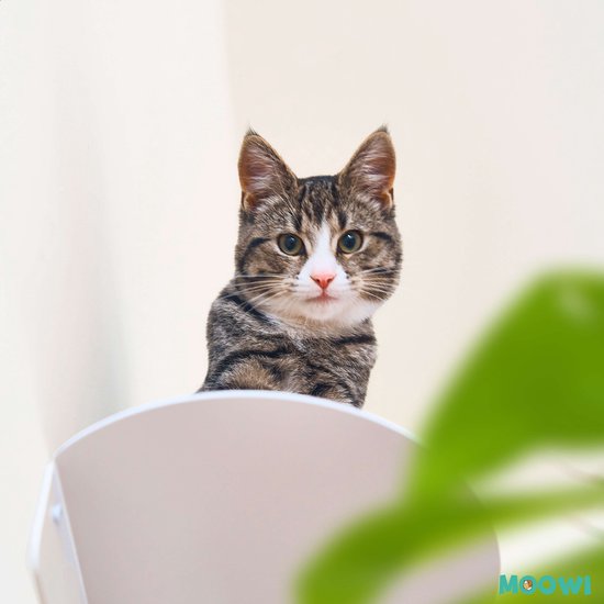 Moowi Wall Steps - 3 stuks -Zwart - Katten Klim Wand - Katten Muur - Plankjes - Kattenspeelgoed