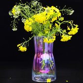 Heldere glazen vaas, Ins-stijl kristallen decoratieve vaas, bloemenboeket plantencontainer voor thuis- en kantoordecoratie, cadeau voor bruiloft, housewarmingfeest, vieringen.