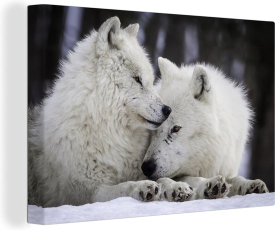 Deux loups blancs dans la neige sur toile 2cm 180x120 cm - Tirage photo sur Toile (Décoration murale salon / chambre) / Animaux sauvages Peintures sur toile XXL / Groot format!