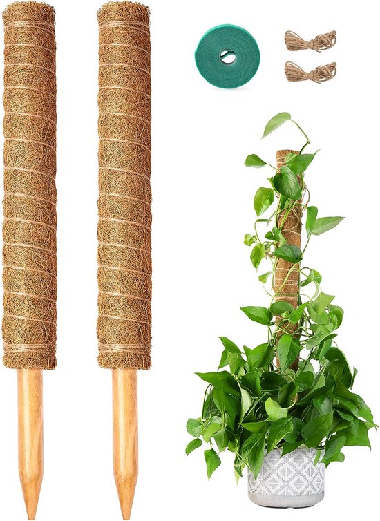Vidaxl Spiraal Plantenstok 50 Gegalvaniseerd Staal 110 Cm Spiraal Planten Stok