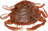 Berkley Avalez! Leurres crabe New Penny - 5 pièces - Avec couleur et parfum d'imitation