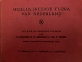 Geillustreerde flora van Nederland