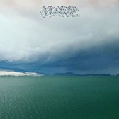Modest Mouse - Fruit That Ate Itself (LP)