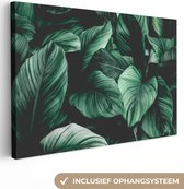 Canvas schilderij 180x120 cm - Wanddecoratie Jungle - Bladeren - Tropisch - Planten - Natuur - Muurdecoratie woonkamer - Slaapkamer decoratie - Kamer accessoires - Schilderijen