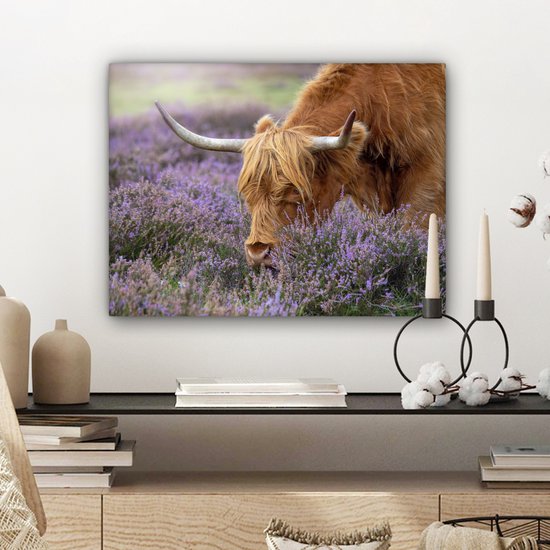 Tableau sur toile Scottish Highlander - Animaux - Bruyère - 40x30 cm - Décoration murale