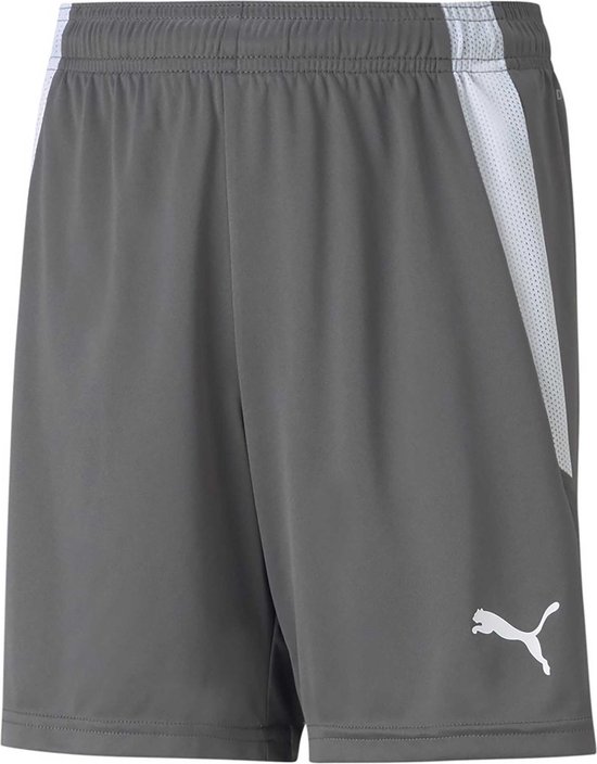 Puma Teamliga Short Kinderen - Grijs | Maat: 116