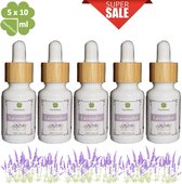 Lavendel olie 100% Pure Etherische Olie | 5x10ml | Reinigend kalmerend | Helpt tegen slapeloosheid | Merk VitexNatura