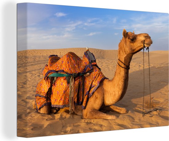Canvas Schilderij Dromedaris kameel in zandduinen - 180x120 cm - Wanddecoratie XXL