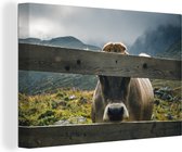 Une vache alpine derrière une clôture toile 90x60 cm - Tirage photo sur toile (Décoration murale salon / chambre) / Peintures sur toile animaux de la ferme