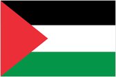 Set van 2 vlagstickers - Palestina - Stickers - 3 x 4,5 cm