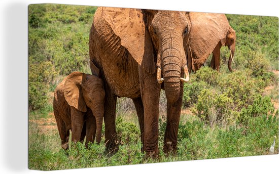 OneMillionCanvasses - Canvas - Olifanten - Olifant - Baby olifant - Grasvlakte - Muurdecoratie - 160x80 cm - Kamer decoratie