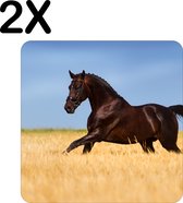 BWK Flexibele Placemat - Gallopperend Paard in het Gras - Set van 2 Placemats - 50x50 cm - PVC Doek - Afneembaar