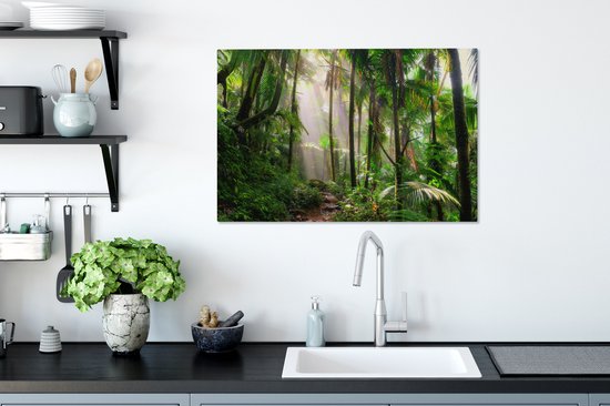 Peintures Toile Jungle - Palmier - Chemin - 60x40 cm - Décoration murale