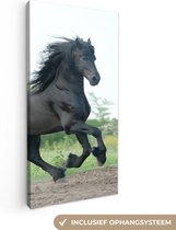 Canvas Schilderij Paard - Zwart - Natuur - 20x40 cm - Wanddecoratie